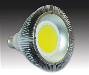 RS-PLWW 017 PAR30 10W