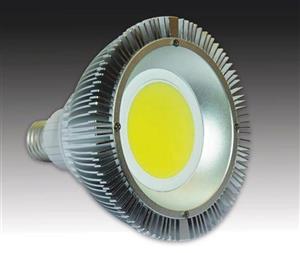 RS-PLW 018 PAR38 20W