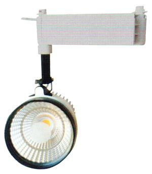 RS-RAYSP 003 (G) 004 (B)