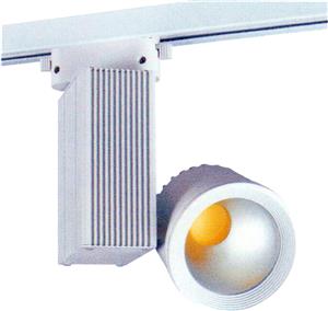 RS-RAYSP 003 (G) 004 (B)